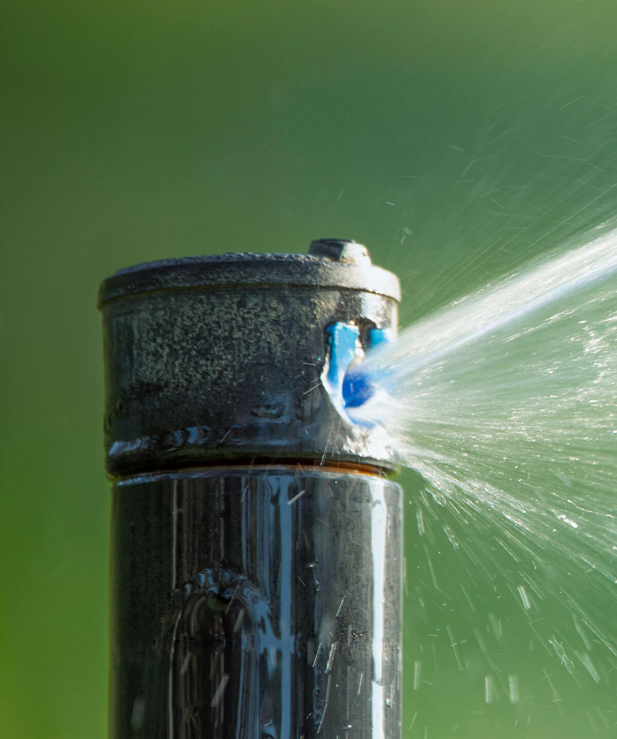 Plumbers 911 | Lawn Sprinkler | Maintanence and Repair
