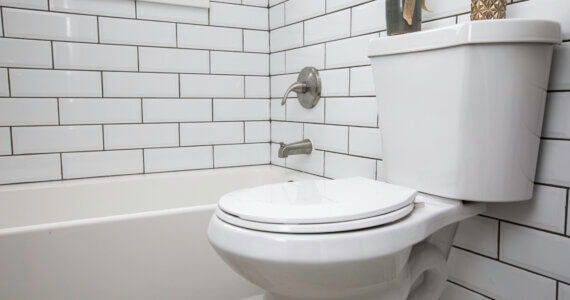High-Efficiency Toilet Next To Shower | Plumbers 911 | Contractor Referral Service